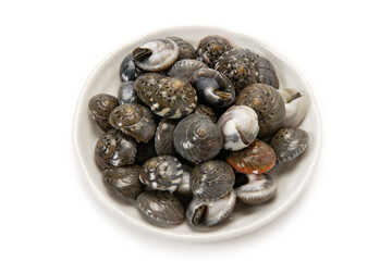 ながらみ貝の塩茹で