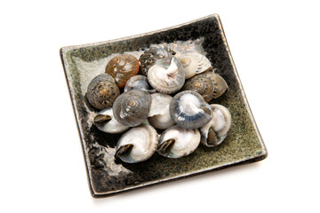 ながらみ貝の塩茹で