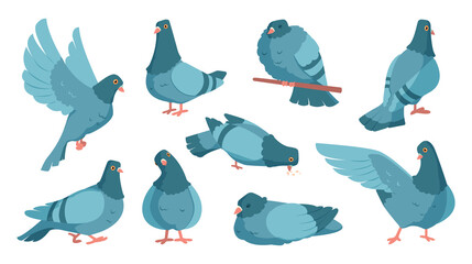 Cartoon pigeon. Cute dove character standing and flying. Flock of gray birds in motions. City wild animal with wings sleeping or eating. Peace and freedom symbol. Vector urban fauna set