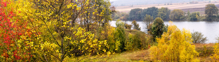 Golden autumn. Colorful trees by the river in autumn, panorama