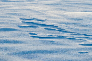 Snowy background, snow-covered surface of the earth after a blizzard in the morning in the sunlight with distinct layers of snow