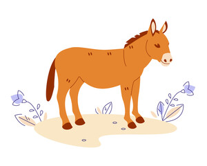 Donkey in the meadow. Vector illustration in flat cartoon style. Isolated on a white background.