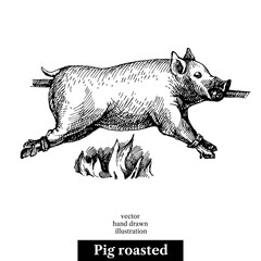 Hand drawn sketch roasted pig. Vector black and white vintage illustration. Isolated object on white background. Menu design - 445994704