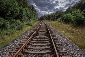 Fototapeta premium The railroad runs through the forest. Beautiful summer weather