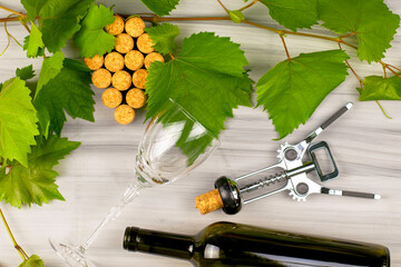 wine corks are laid out in the form of a grape brush grape branches a wine corkscrew a bottle of wine and a glass glass on a painted wooden background