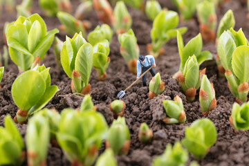 Miniature farmers working in the fields of miniature scenes