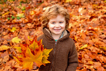 Child boy walking in the autumn park. Happy kid boy walking in autumn Park, beautiful child in warm jacket sweater on the autumn nature background.
