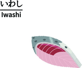 いわしの切り身のイラスト
