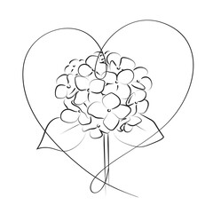 Blooming flower hydrangea with heart on white background.
