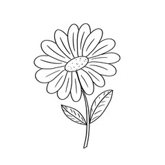 A handwritten decorative design element, made by hand in a fashionable style of doodles on a white background. A sketch with a black line. The theme is summer floral prints. Decoration design ornament