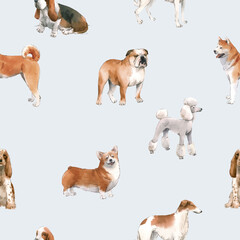 Beautiful vector seamless pattern with cute watercolor hand drawn dog breeds Cocker spaniel Greyhound Basset hound Poodle Bulldog and Welsh corgi pembroke . Stock illustration.