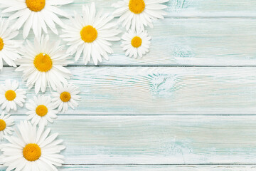 Obraz premium Chamomile flowers background. Garden camomile