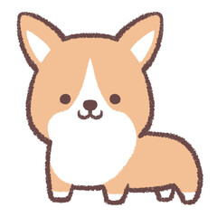 コーギー