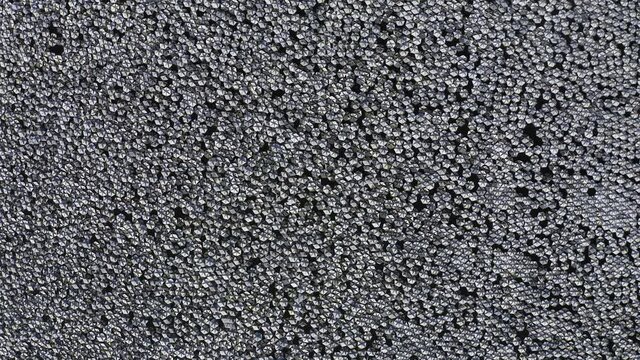 Small reflecting plates clustered together in a large water reservoir.