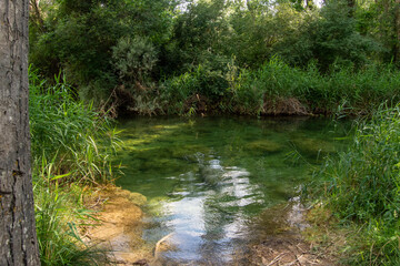 Río Guadiela