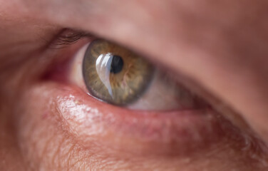 Beautiful super macro photo of green eye male human, eye, vision, close up. Human Open Eye Macro....