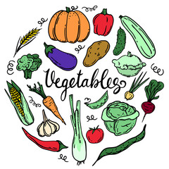 Vector set of vegetables. doodle Hand drawing. autumn. Eggplant, pattison. onion, garlic, tomato, peas, beans.Banner, Flyer, Texture, Poster.
