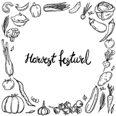 Autumn harvest flat vector banner template. hand drawn lettering. Decorative vegetables doodle sketch. Celebrating harvest gathering fest, festival poster, postcard design element