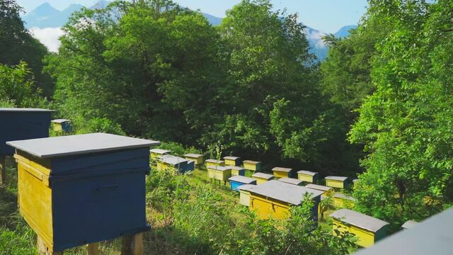 Bee houses in the valley in highlands. Swarm of bees collects honey in the mountains of spring. Wooden bee hives in the garden.