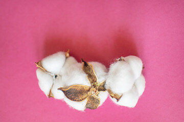 Three fluffy white cotton flowers on pink background.
