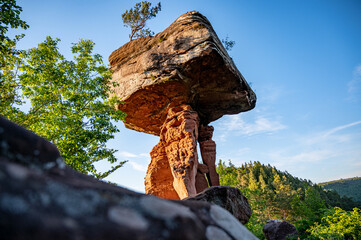 Teufelstisch bei Hinterweidenthal (Dahner Felsenland)