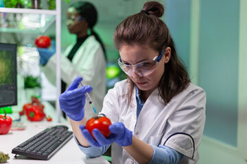 Scientist chemist injecting tomato with pesticides using medical syringe for genetic microbiology experiment. Biochemist working in farming laboratory testing health food for medical expertise.