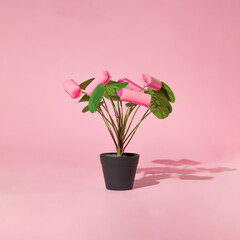 Creative layout made with plant in the pot with  hair rollers or curlers instead of flowers on pastel pink background. Retro salon concept. Fun idea for hairstyling.