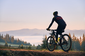 Silhouette of cyclist riding bike with coniferous trees and hills on background. Back view of man...