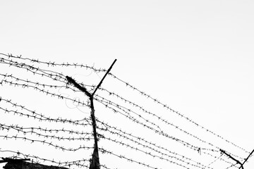 Barbed wire against the cloudy sky.