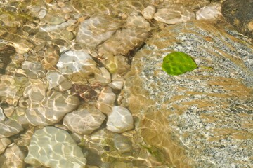 Beautiful natural underwater image of rocks, a leaf and water ripple light reflections.