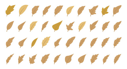 Set of autumn leaves