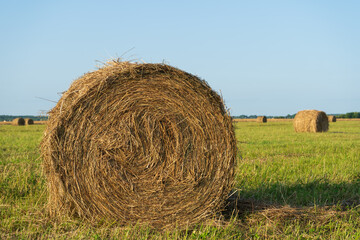 hay bales in the field © Mary Pain