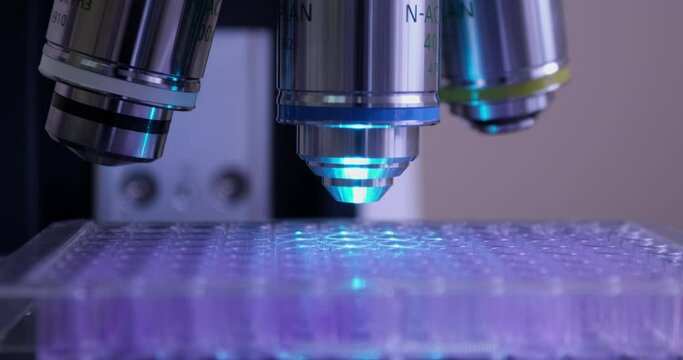 The case with the cell and samples was placed under the objective of a microscope with blue light. Laboratory diagnostic method.