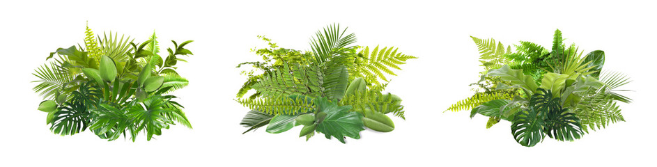 Beautiful composition with fern and other tropical leaves on white background, collage. Banner design