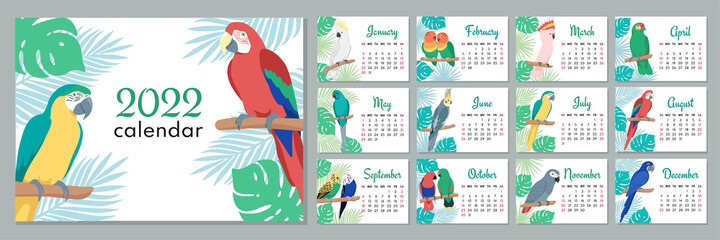 2022 calendar template. Calendar concept design with parrot. Week starts on Sunday. Set of 12 months 2022 pages. Vector illustration.