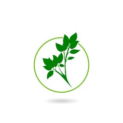 Nature Leaf Logo with shadow