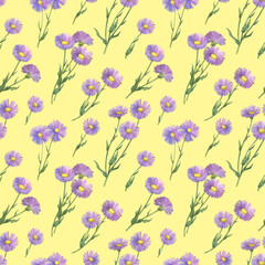 Seamless pattern with daisy branch with flowers. Erigeron speciosus (garden, aspen, showy, prairie, streamside fleabane). Watercolor hand drawn painting illustration isolated on yellow background.