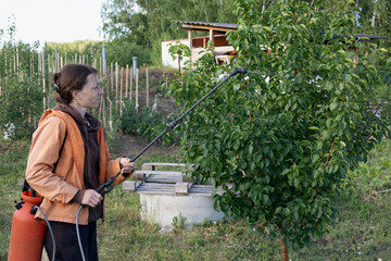 women work in garden and spraying chemical or fertilizer with portable sprayer to fruit tree