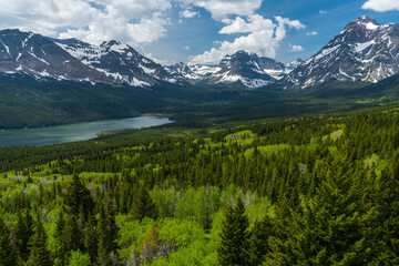 Fototapeta premium The Two medicine valley from the scenic point trail