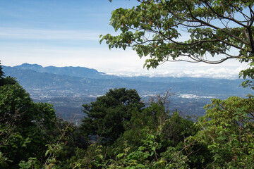 View of green trees and plants below blue sky and mountains in front