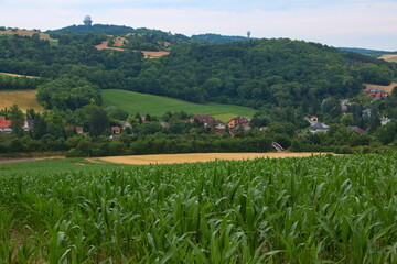 View of Buschberg from Oberleiser Berg in Oberleis, Lower Austria, Austria, Europe
