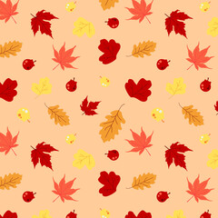 Autumn Pattern with Different Autumn Leaves Colorful with Berries