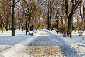 Empty benches covered with snow in winter park