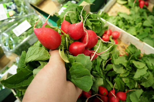 red radish in men's hands in the supermarket. top view