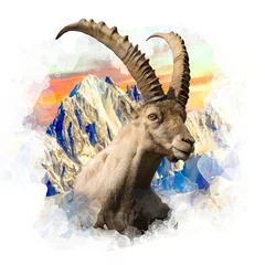 Foto op Plexiglas mountain goat on a mountain © reznik_val