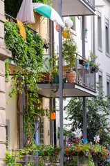 Jardinage urbain sur balcon dans une coopérative