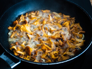 Chanterelles frying in pan
