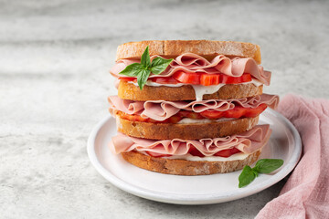 Delicious italian deli sandwich with mortadella, soft cheese Stracchino and tomatoes.