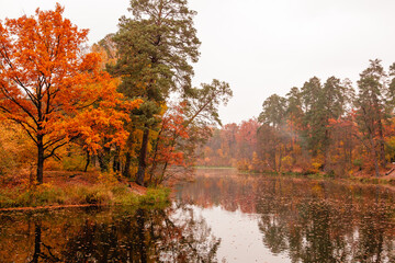 Obraz premium Beautiful lake in a forest with autumn trees