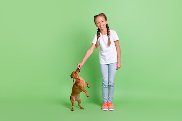 Full length body size view of lovely careful cheerful preteen girl feeding doggy isolated over green color background